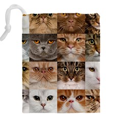 Breeds Of Cats Collage Drawstring Pouch (4XL) from ArtsNow.com Back