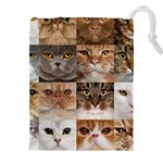 Breeds Of Cats Collage Drawstring Pouch (5XL)