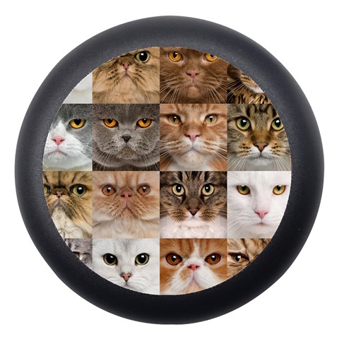 Breeds Of Cats Collage Dento Box with Mirror from ArtsNow.com Front