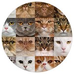 Breeds Of Cats Collage Round Trivet