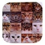 Breeds Of Cats Collage Stacked food storage container