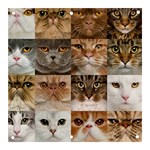 Breeds Of Cats Collage Banner and Sign 3  x 3 