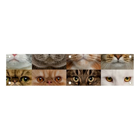 Breeds Of Cats Collage Banner and Sign 4  x 1  from ArtsNow.com Front