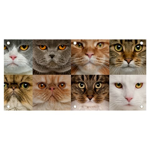 Breeds Of Cats Collage Banner and Sign 4  x 2  from ArtsNow.com Front