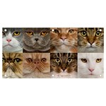 Breeds Of Cats Collage Banner and Sign 4  x 2 