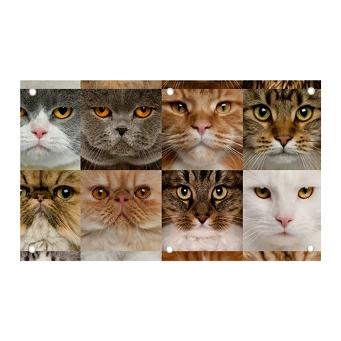 Breeds Of Cats Collage Banner and Sign 5  x 3  from ArtsNow.com Front