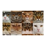 Breeds Of Cats Collage Banner and Sign 5  x 3 