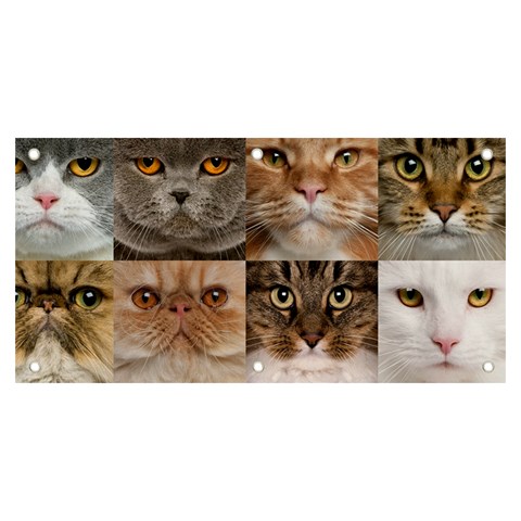 Breeds Of Cats Collage Banner and Sign 6  x 3  from ArtsNow.com Front