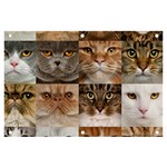 Breeds Of Cats Collage Banner and Sign 6  x 4 