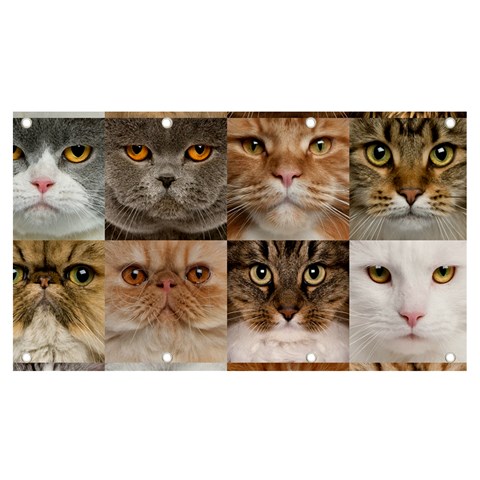 Breeds Of Cats Collage Banner and Sign 7  x 4  from ArtsNow.com Front