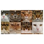 Breeds Of Cats Collage Banner and Sign 7  x 4 