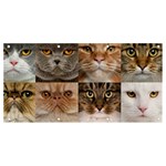 Breeds Of Cats Collage Banner and Sign 8  x 4 