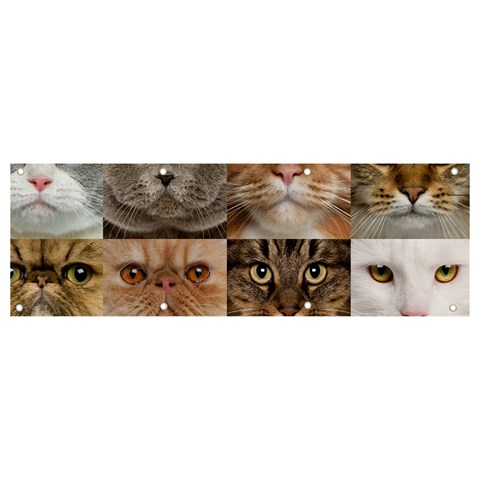 Breeds Of Cats Collage Banner and Sign 9  x 3  from ArtsNow.com Front