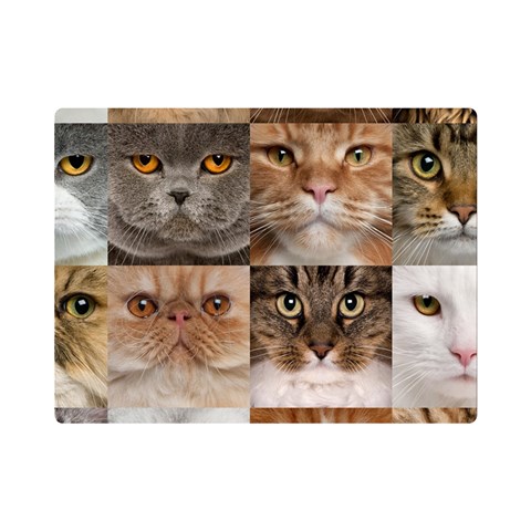 Breeds Of Cats Collage Premium Plush Fleece Blanket (Mini) from ArtsNow.com 35 x27  Blanket Front