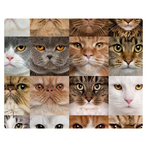 Breeds Of Cats Collage Premium Plush Fleece Blanket (Medium) from ArtsNow.com 60 x50  Blanket Front