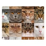 Breeds Of Cats Collage Premium Plush Fleece Blanket (Large)