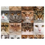 Breeds Of Cats Collage Premium Plush Fleece Blanket (Extra Small)