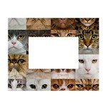 Breeds Of Cats Collage White Tabletop Photo Frame 4 x6 