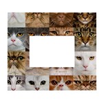 Breeds Of Cats Collage White Wall Photo Frame 5  x 7 