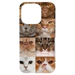 Breeds Of Cats Collage iPhone 14 Pro Black UV Print Case