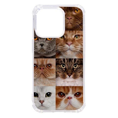 Breeds Of Cats Collage iPhone 14 Pro TPU UV Print Case from ArtsNow.com Front