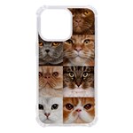 Breeds Of Cats Collage iPhone 13 Pro TPU UV Print Case