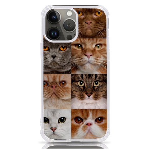 Breeds Of Cats Collage iPhone 13 Pro Max TPU UV Print Case from ArtsNow.com Front