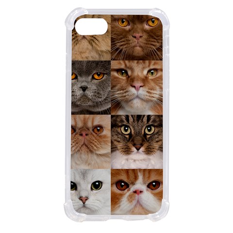 Breeds Of Cats Collage iPhone SE from ArtsNow.com Front