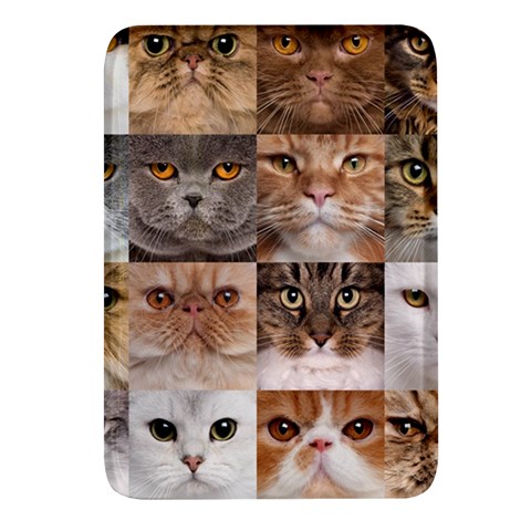 Breeds Of Cats Collage Rectangular Glass Fridge Magnet (4 pack) from ArtsNow.com Front