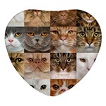 Breeds Of Cats Collage Heart Glass Fridge Magnet (4 pack)