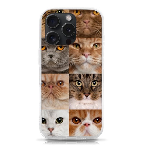 Breeds Of Cats Collage iPhone 15 Pro TPU UV Print Case from ArtsNow.com Front