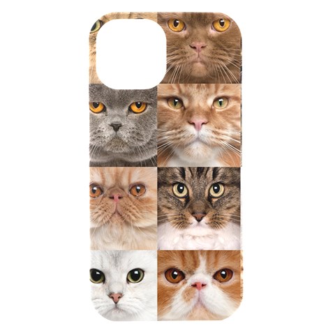 Breeds Of Cats Collage iPhone 15 Black UV Print PC Hardshell Case from ArtsNow.com Front