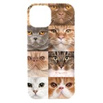 Breeds Of Cats Collage iPhone 15 Black UV Print PC Hardshell Case