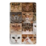 Breeds Of Cats Collage Name Card Style USB Flash Drive