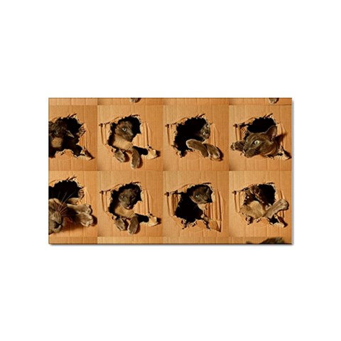 Carton, Brown Sticker Rectangular (10 pack) from ArtsNow.com Front