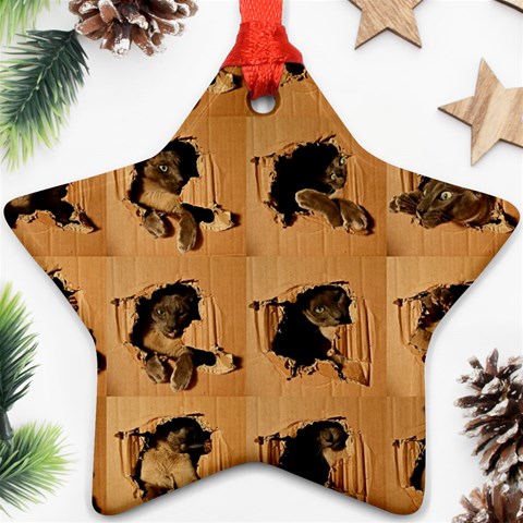 Carton, Brown Star Ornament (Two Sides) from ArtsNow.com Front