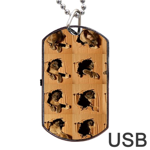 Carton, Brown Dog Tag USB Flash (Two Sides) from ArtsNow.com Front