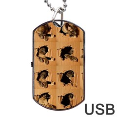 Carton, Brown Dog Tag USB Flash (Two Sides) from ArtsNow.com Back