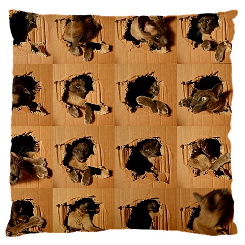 Carton, Brown 16  Baby Flannel Cushion Case (Two Sides) from ArtsNow.com Front