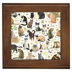 Cats, All, Collage, Cat Framed Tile