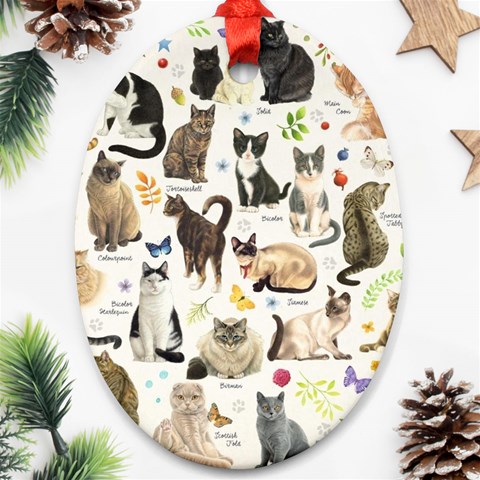 Cats, All, Collage, Cat Ornament (Oval) from ArtsNow.com Front