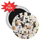 Cats, All, Collage, Cat 2.25  Magnets (10 pack) 