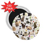 Cats, All, Collage, Cat 2.25  Magnets (100 pack) 