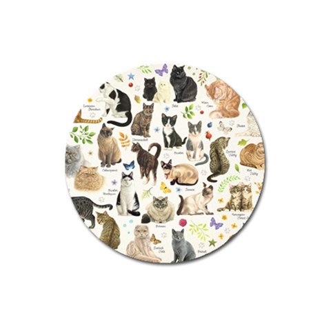 Cats, All, Collage, Cat Magnet 3  (Round) from ArtsNow.com Front