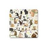 Cats, All, Collage, Cat Square Magnet