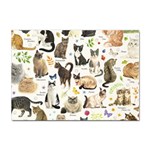 Cats, All, Collage, Cat Sticker A4 (10 pack)