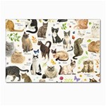 Cats, All, Collage, Cat Postcards 5  x 7  (Pkg of 10)