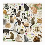 Cats, All, Collage, Cat Medium Glasses Cloth