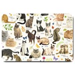 Cats, All, Collage, Cat Large Doormat