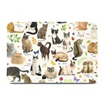 Cats, All, Collage, Cat Plate Mats